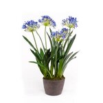 Emerald Agapanthe artificiel 75 cm Bleu