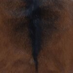 vidaXL Tabouret pliable cuir de chèvre et bois de teck massif