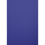 Kit De Présentation Serodo Pour Relier Jusqu'à 60 Feuilles A4. - Bleu - X 5 - Exacompta
