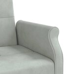 vidaXL Canapé-lit avec coussins gris clair velours