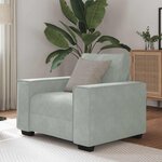 vidaXL Fauteuil Gris clair 60 cm Velours