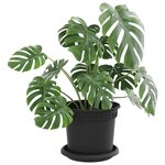 vidaXL Pots de plantes 6 Pièces Noir Ø 15 x 12 cm Plastique
