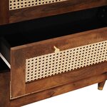 vidaXL Ensemble de Meubles de Rangement 2 Pièces Marron 60 x 33.5 x 75 cm