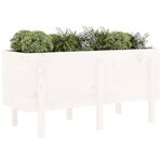 vidaXL Lit surélevé de jardin blanc 121x50x57 cm bois de pin massif