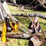 GRÜNTEK Tête d'élagage télescopique SWAN 310 mm