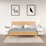 vidaXL Tables de chevet 2 Pièces Blanc 50x35x61 5 cm Bois de pin massif