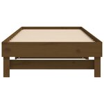 vidaXL Lit coulissant sans matelas marron miel 2x(80x200)cm