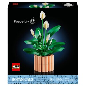 11504 Lys de la paix en pot ® Botanicals