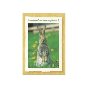 Carte Message - Lapin  "Comment Va Mon Lapinou  "