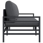 vidaXL Mobilier de jardin avec coussin 2 Pièces Anthracite Acier