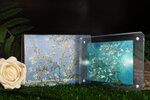 ALMOND BLOSSOM Vincent Van Gogh Pièce 1 Once Argent 1000 Francs Cameroun 2025