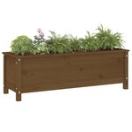 vidaXL Lit surélevé de jardin brun miel 119 5x40x39 cm bois pin massif