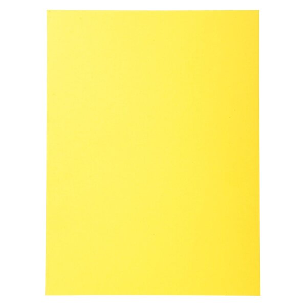 Paquet De 100 Chemises Forever® 220 100  Recyclé - 24x32cm - Jaune - X 5 - Exacompta