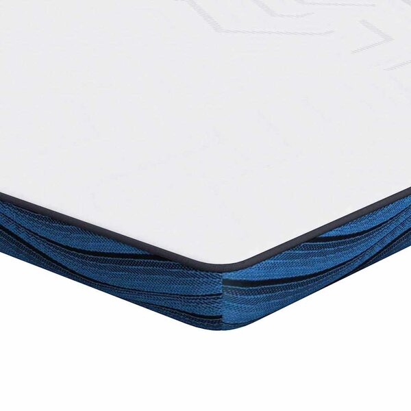 vidaXL Coussins de Matelas Blanc et Bleu 120 x 200 cm