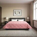 vidaXL Duvet d'hiver Rose 200 x 240 cm Microfibre et polaire Teddy