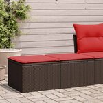 vidaXL Salon de jardin avec coussins 2Pièces marron résine tressée acacia