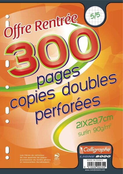 Pqt 75 (300 pages) Copies doubles A4 90g Perforées Quadrillées 5x5 CALLIGRAPHE
