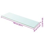 vidaXL Panneaux d'étagère 2 Pièces Verre Transparent 100 x 30 cm