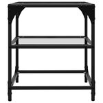 vidaXL Tables basses avec dessus en verre transparent 2 Pièces acier