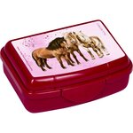 Coppenrath Verlag 18127 - Mini boîte à goûter - Amis des chevaux