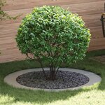 vidaXL Anneau d'Arbre Plat Ø90/120 cm en Acier Galvanisé