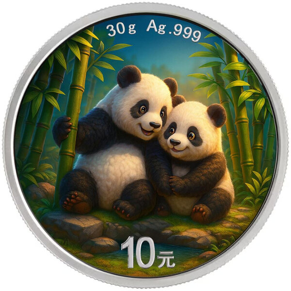 Pièce de monnaie en Argent 10 Yuan g 30 Millésime 2026 CHINESE PANDA