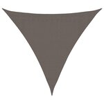 vidaXL Parasol en PEHD triangulaire 3 6 x 3 6 x 3 6 m Anthracite