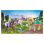 71356 3 chevaux morgan  quarter horse  and  shagya