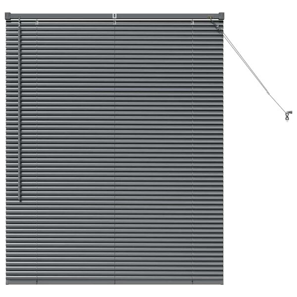 vidaXL Store de Fenêtre avec des rideaux Manuel Gris foncé Aluminium