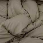 vidaXL Duvet d'hiver Gris clair et anthracite 220 x 135 cm Microfibre