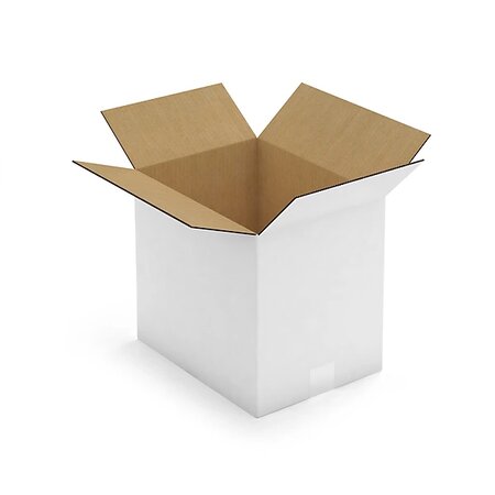 Caisse carton blanche double cannelure raja 33x25x30 cm (lot de 10)