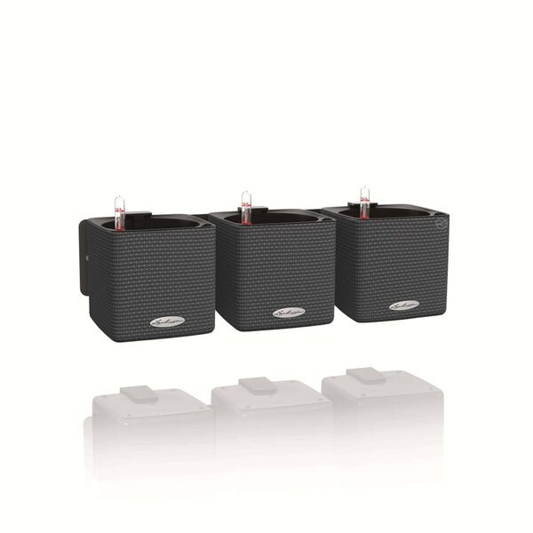 LECHUZA 3 Pièces Jardinières Green Wall Home Kit Ardoise