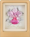 Pièce de monnaie en Cupronickel - Argent g Millésime 2024 Mini Frame VANDA MISS JOAQUIM