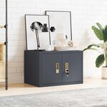 vidaXL Armoire de rangement Anthracite 60 x 40 x 40 cm Acier