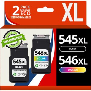 PG545 / CL546 XL - Pack 2 cartouches Canon 545/546 compatibles Pixma MG2450 TS3050 - sans niveau