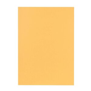 Chemise Carte Recyclée A4 - Chamois - X 100 - Falken