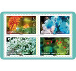 Carnet 12 timbres - Eclosion -  Lettre Verte