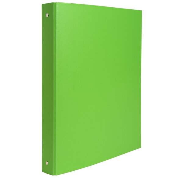 Classeur 4 anneaux 30 mm Couverture PP Dos de 40 mm Anis EXACOMPTA