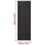 Vidaxl tapis sisal naturel 100x300 cm noir