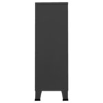 vidaXL Garde-robe industrielle Anthracite 67x35x107 cm Acier