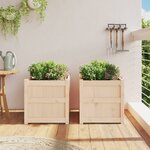 vidaXL Jardinières 2 Pièces bois de pin massif