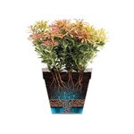 Pot de fleur Loft Urban Rond avec roues - Rouge Ø 48.5 x hauteur 45 cm - Extérieur 100 recyclé