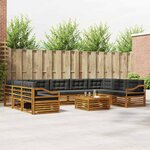 vidaXL Ensemble de canapés d'extérieur 10 Pièces Naturel et Anthracite