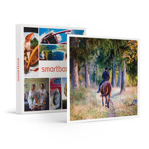 SMARTBOX - Coffret Cadeau Leçon d'équitation ou agréable balade à cheval -  Sport & Aventure