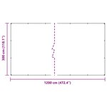 vidaXL Couverture pour plantes Transparent 3 x 12 m PE