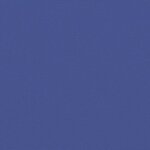 vidaXL Auvent latéral rétractable Bleu 160x1200 cm