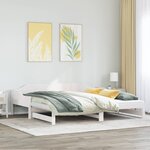 vidaXL Lit de jour et lit gigogne sans matelas 90x200 cm bois massif
