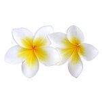 Parfum pour savon 135 ml - Monoï