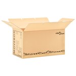 vidaXL Boîtes de déménagement Carton XXL 100 Pièces 60x33x34 cm