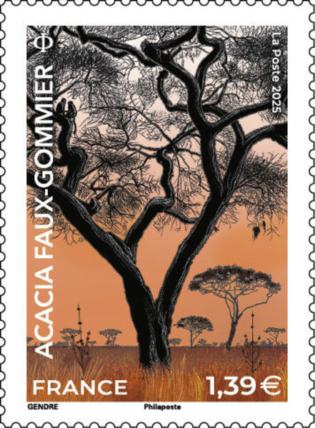 Timbre - Acacia faux-gommier - Lettre verte